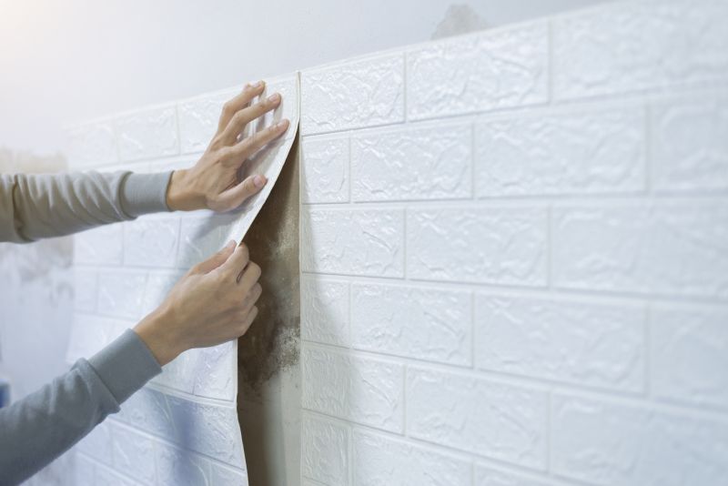 Professional Wallpaper Installers